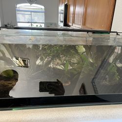 10 Gallon Angled Topfin Aquarium