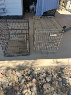 Small dog kennels