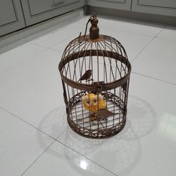 Bird Cage