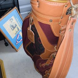 Golf clubs with beautiful vintage bag