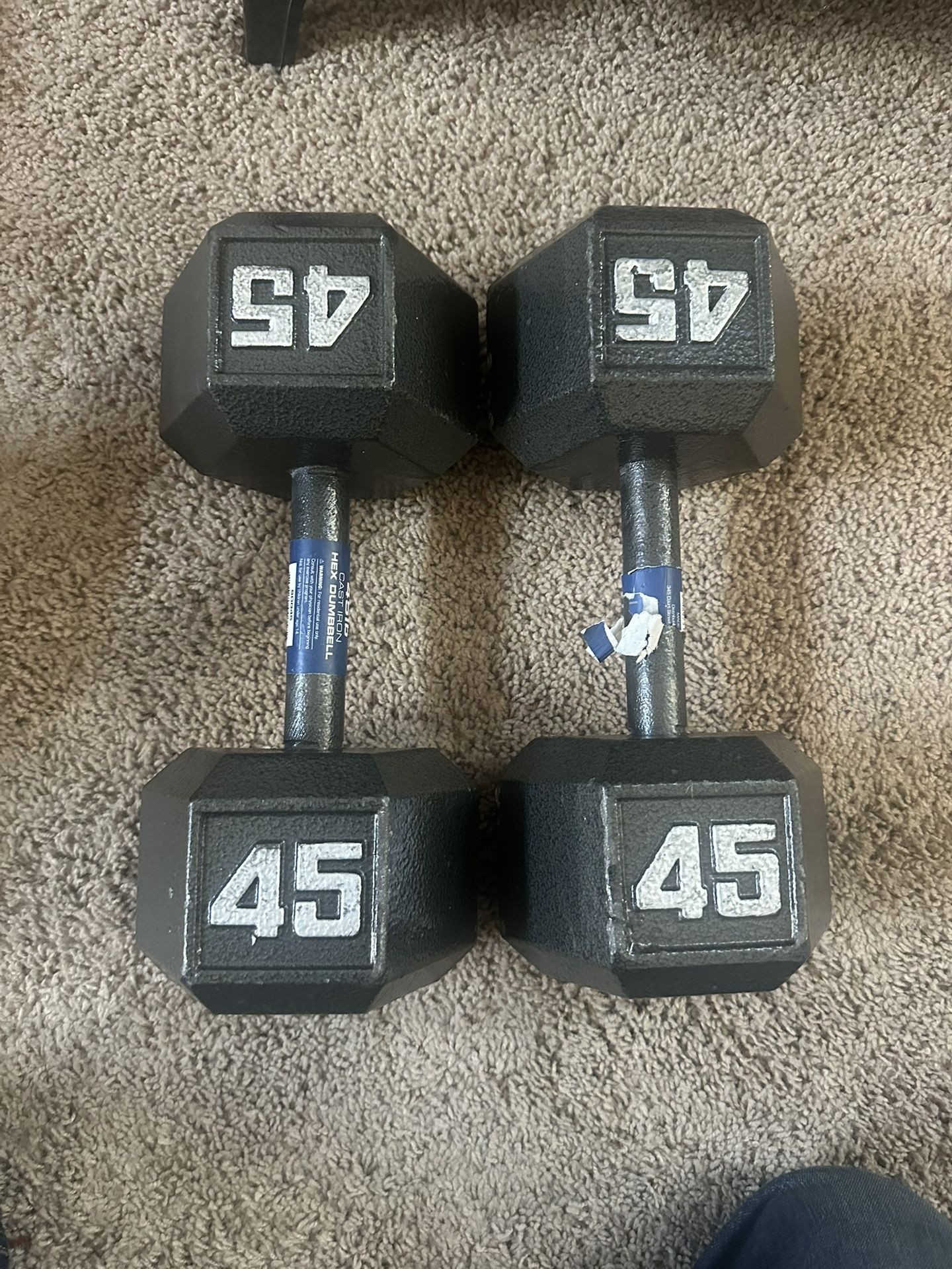 45lb Dumbbells