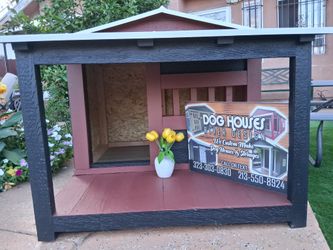 Dog House 