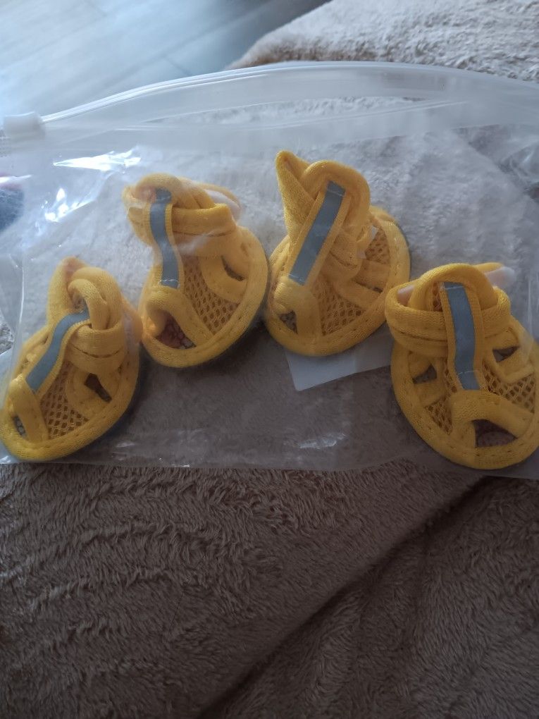 Sandalias Para Perrito Size2 Nuevas.