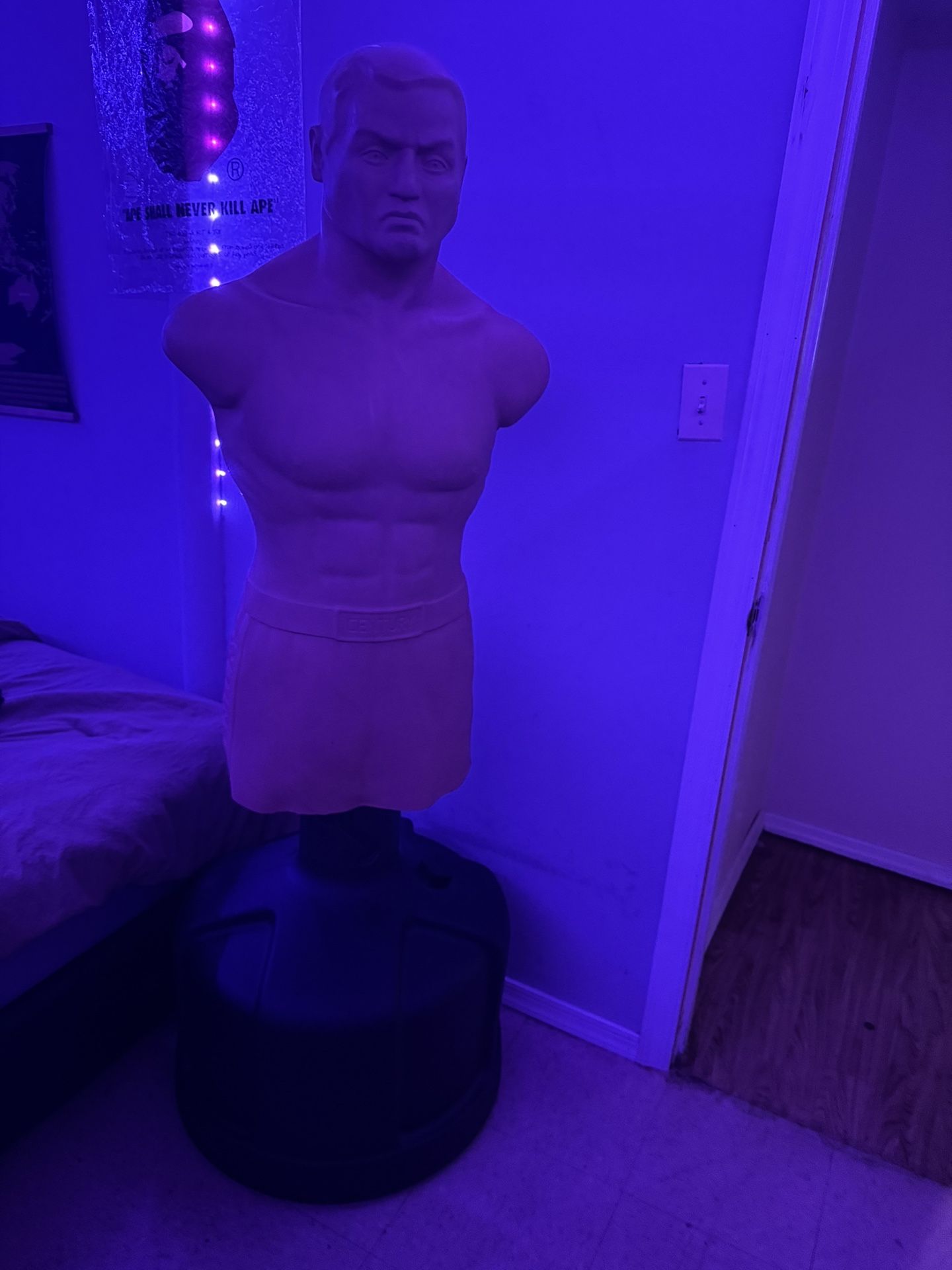 Century Bob 
