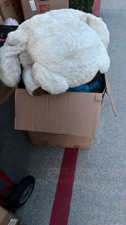 Stuffed Animals