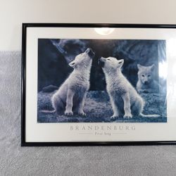 Bradenburg First Song Picture