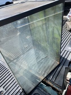 Crested Gecko Enclosure Negotiable!