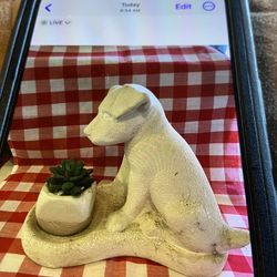 Resin Yard Art Dog W/artificial Succulent About 12” Tall 