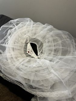 Crinolinas