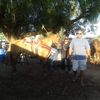 Jose