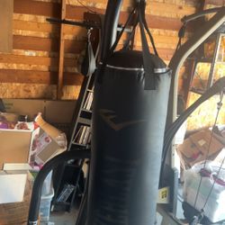 Everlast 80lb Heavy Bag And Speed Bag With Stand 