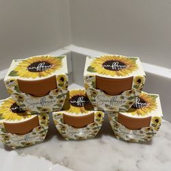 Sunflower Pots (5)