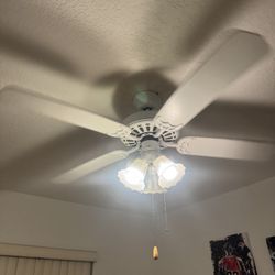 Celling Fan 