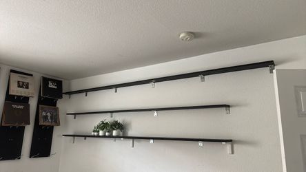 Shelves and trees $25