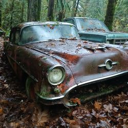 Old Classic Cars Trucks 