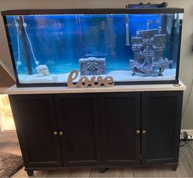 Aquarium fish tank with supplies