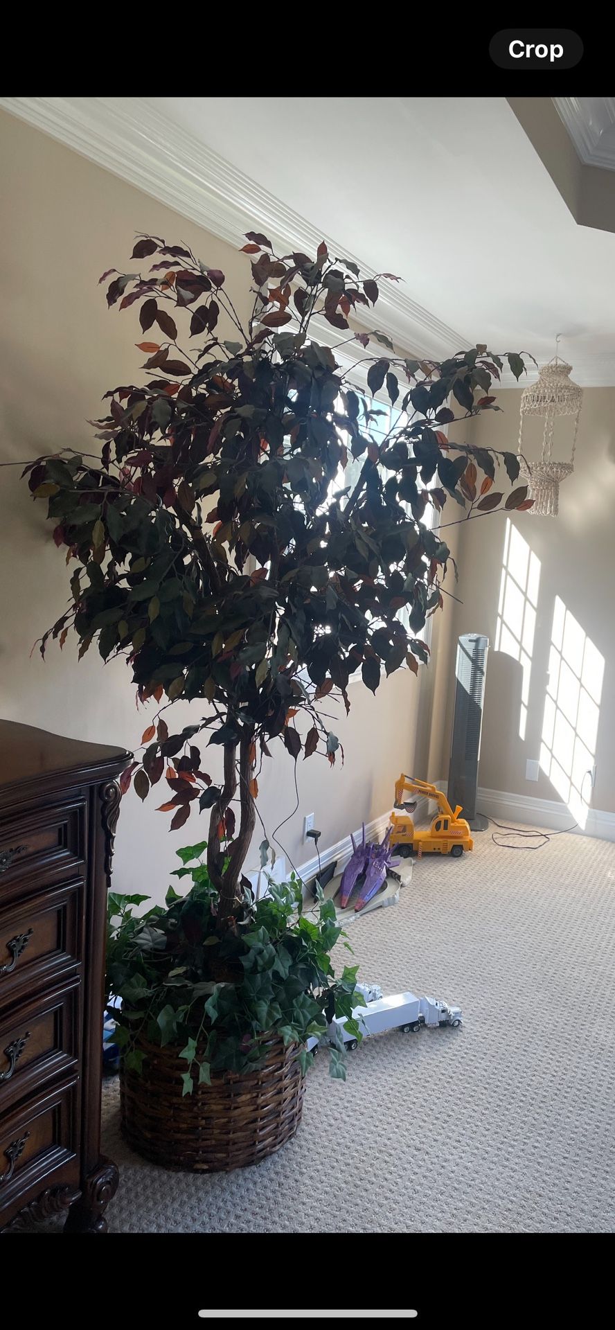 Trees