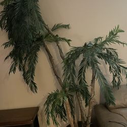 12’ Palm Tree Indoor  Plastic 