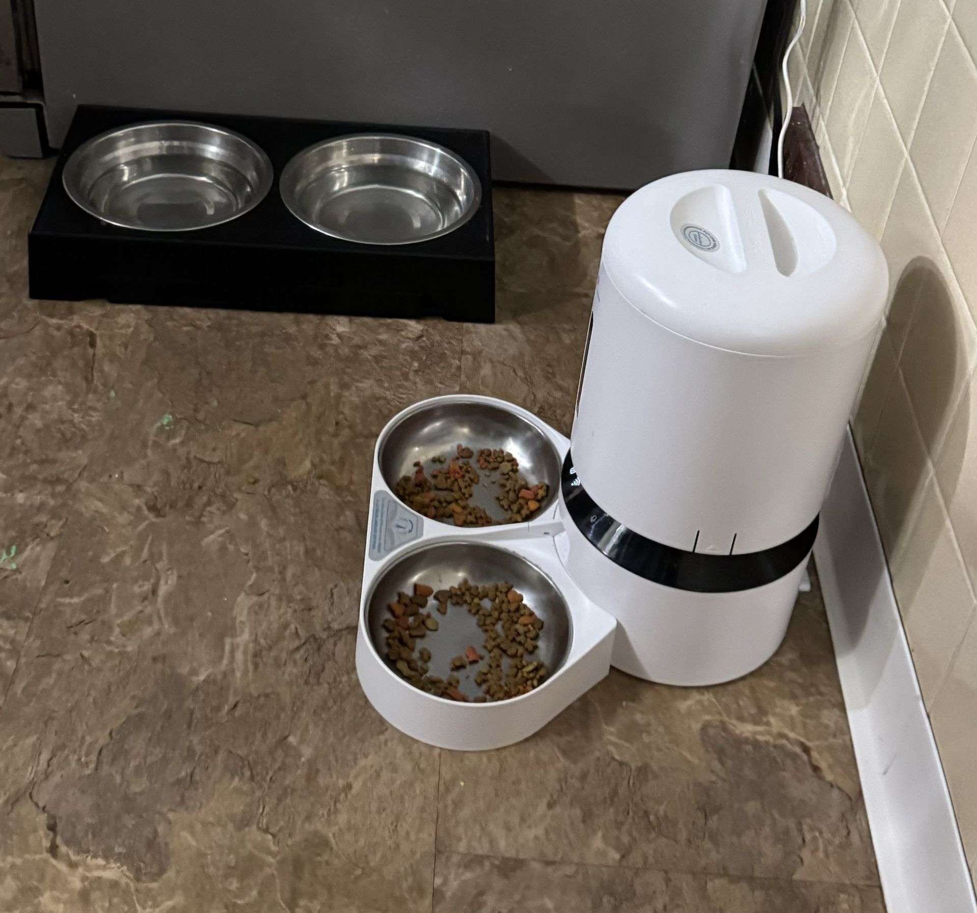 5month Old Cat Items Ready For Cats To Move In