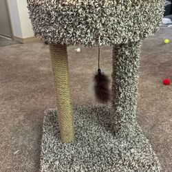 Cat Tree With Toy And Scratching Post 