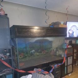 200 Gallon Tank For Sale