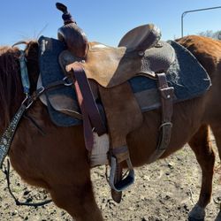 Barrel Saddle 16”