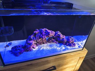 Nevo 20 Gallon