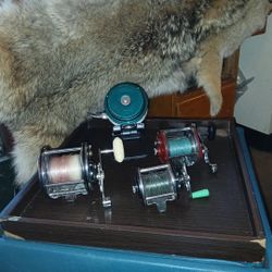 Vintage Fly Reel & Baitcasters