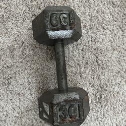 30lbs Dumbbell