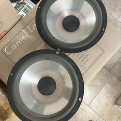 Infinity RS4000 10” drivers / subs