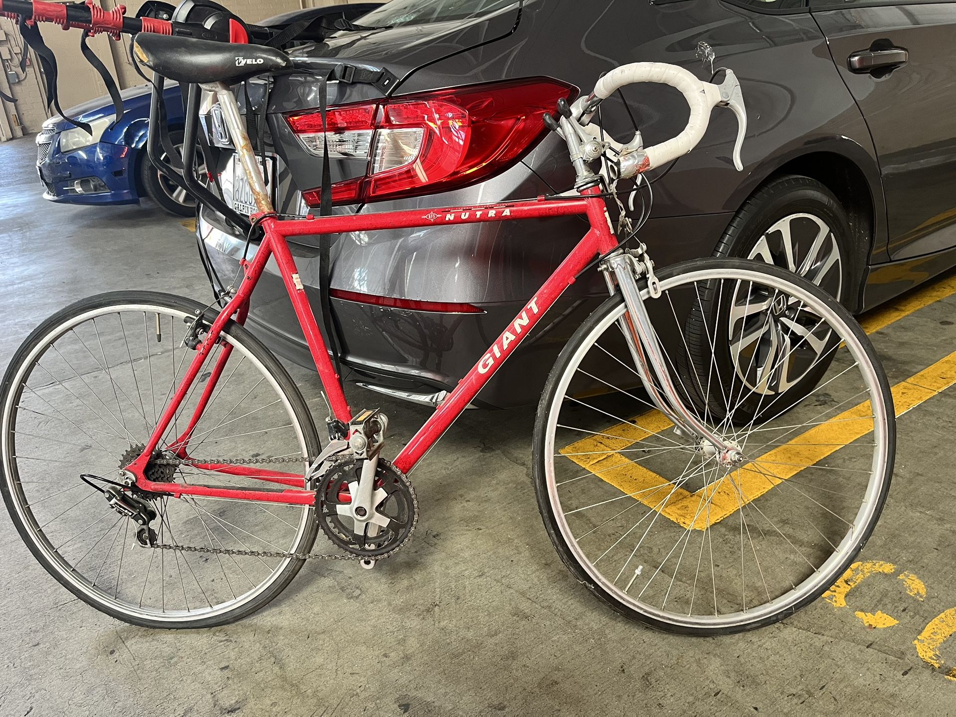 Vintage Red giant nutra road bicycle 26” Large frame
