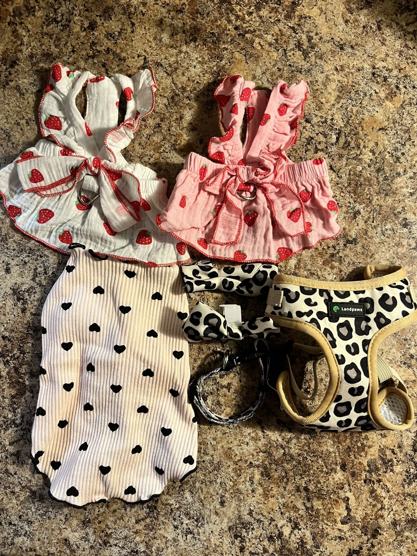 Xs Female Dog Clothes And Harness