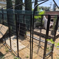 Dog Kennel Run