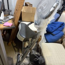 Exerpuetic Exercise Bike