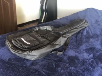Chroma cast guitar bag