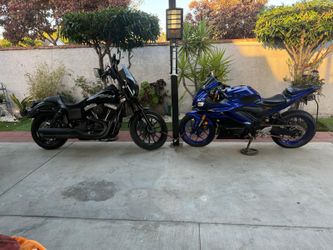 Harley and Yamaha for sale
