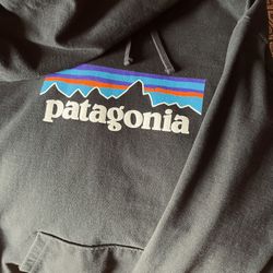Patagonia Hoodie