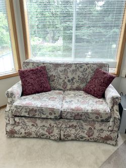 Sleeper Loveseat / Small Couch