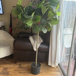 Faux fiddle leaf plant