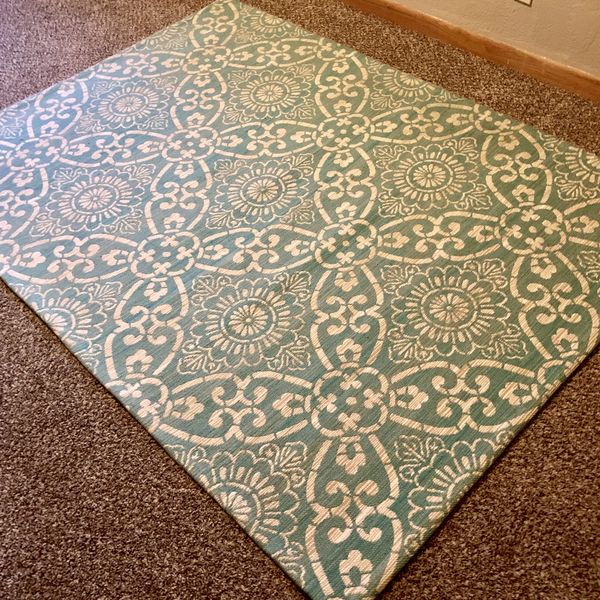5x7 Indoor/Outdoor Area Rug for Sale in Milwaukee, WI OfferUp