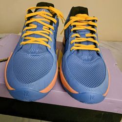 NIKE JA 2 MEN'S SIZE 14 BRAND NEW NEVER WORN!!!!! WILLING TO CONSIDER REASONABLE OFFERS