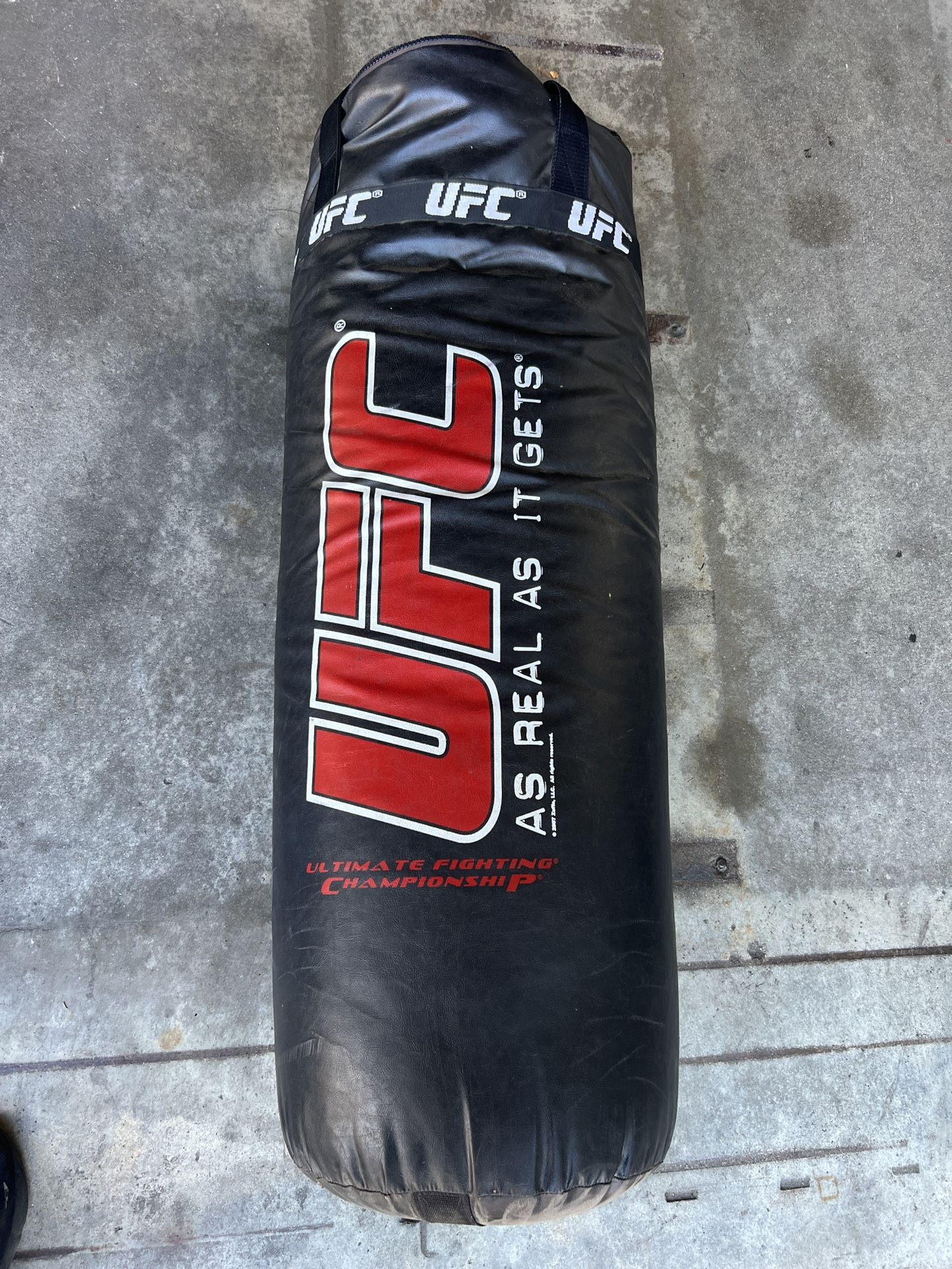 UFC Punching & Training Bag