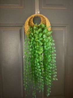 Set of 2 wall plants