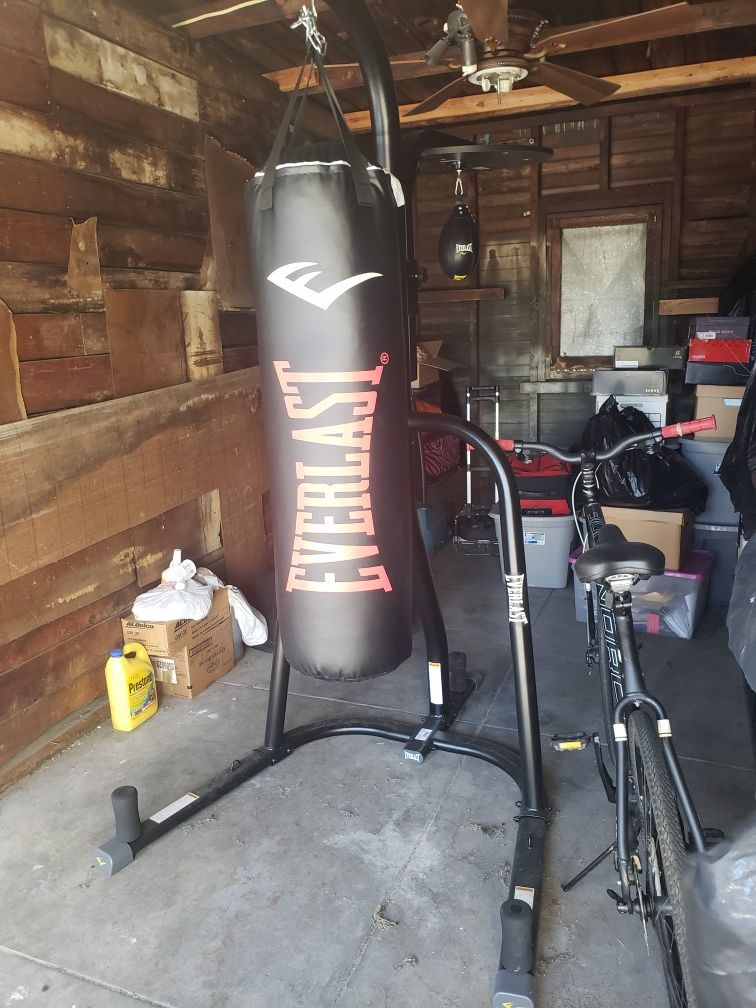 Everlast Speed & Heavy Bag Workout Set Up