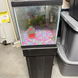 Aquarium Stand 