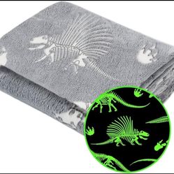 Jekeno Glow in the Dark Dinosaur Blanket (Brand New)