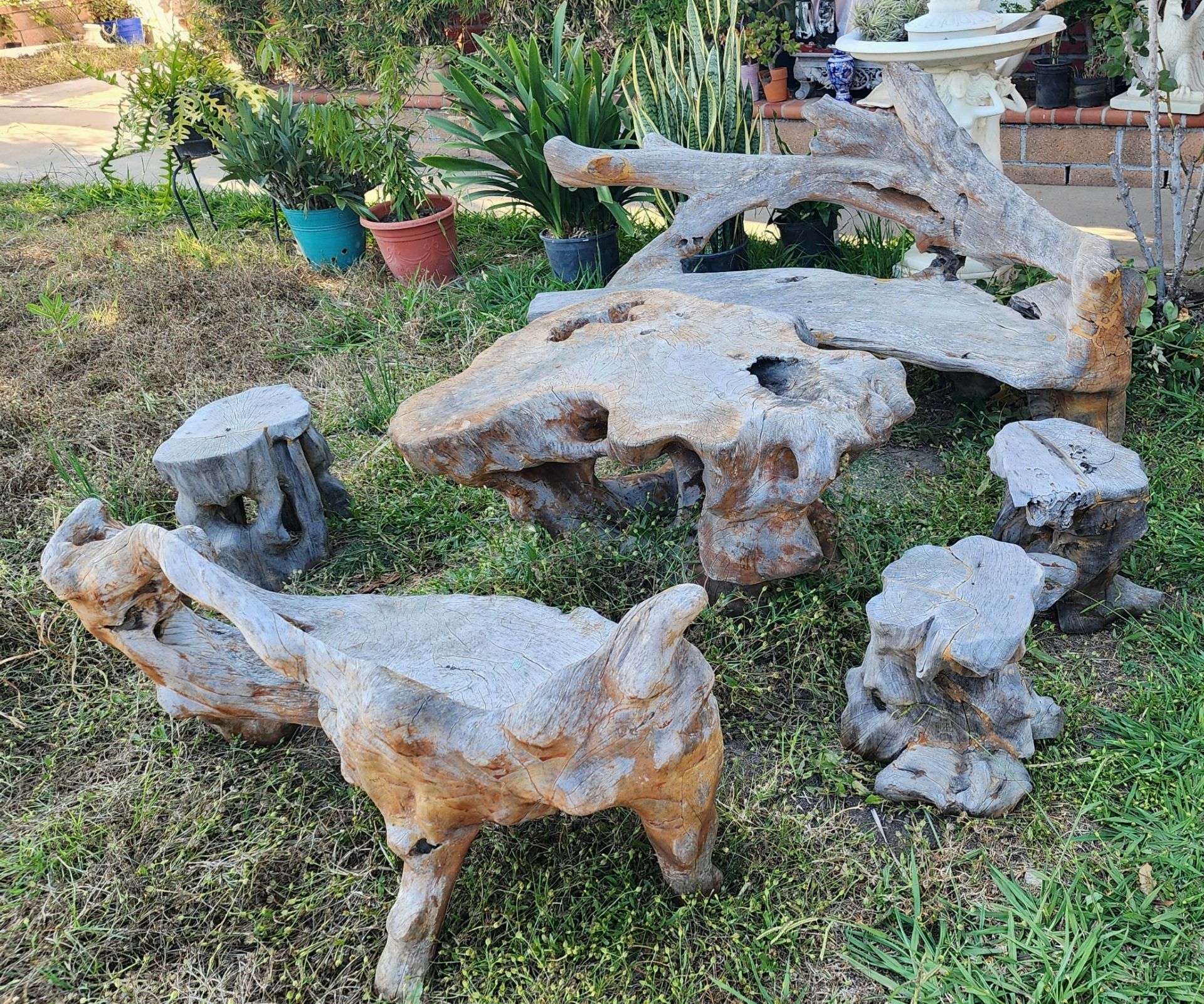 Tree root outdoor table set