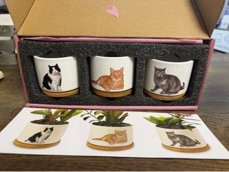 Cat 3 piece plant pot set