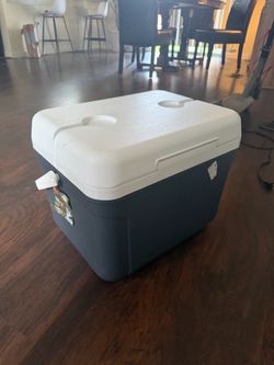 Ice chest