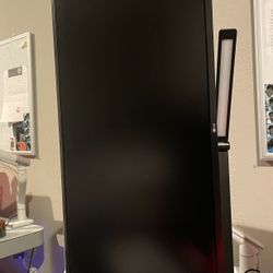 LG 29” Monitor 100hz